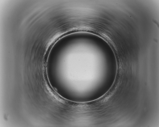 X0000101180989200807071241