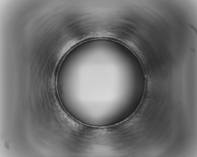 X0000101180990200807071241