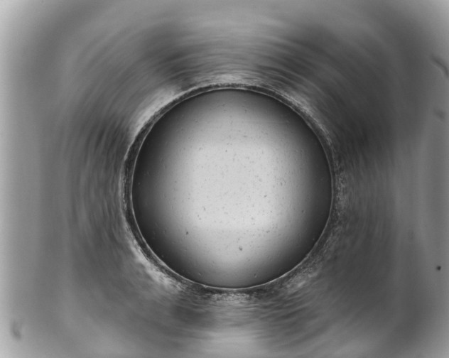 X0000101180991200807071241