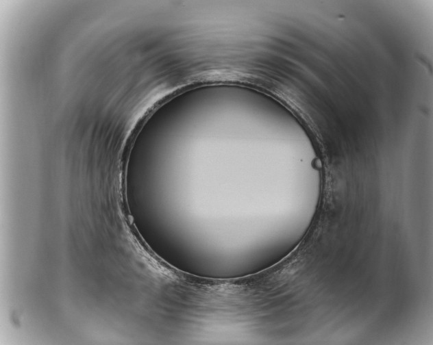 X0000101180992200807071241