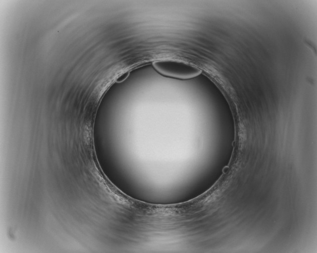 X0000101180993200807071241