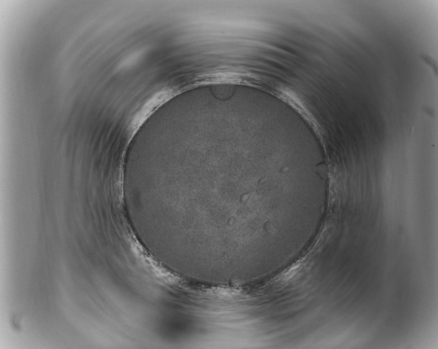 X0000101180994200807071241