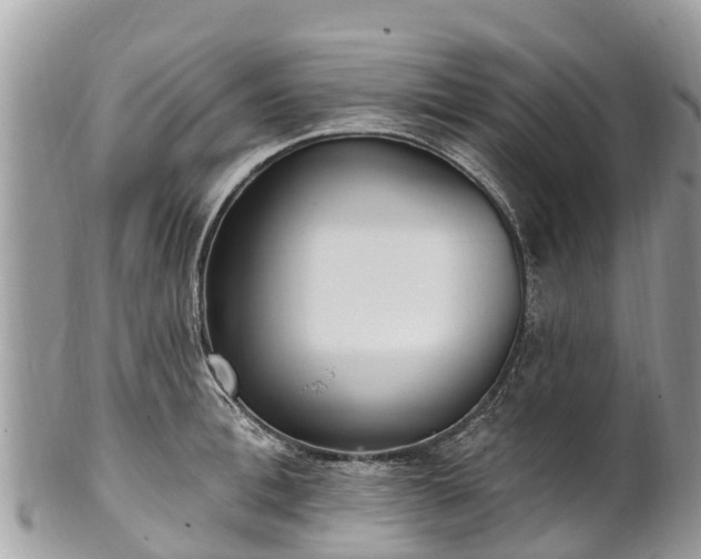 X0000101180996200807071241