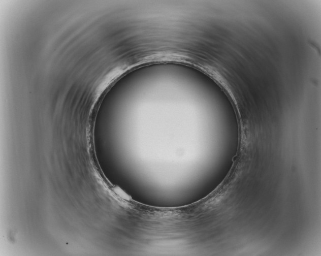 X0000101180997200807071241