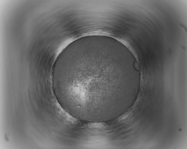 X0000101180998200807071241