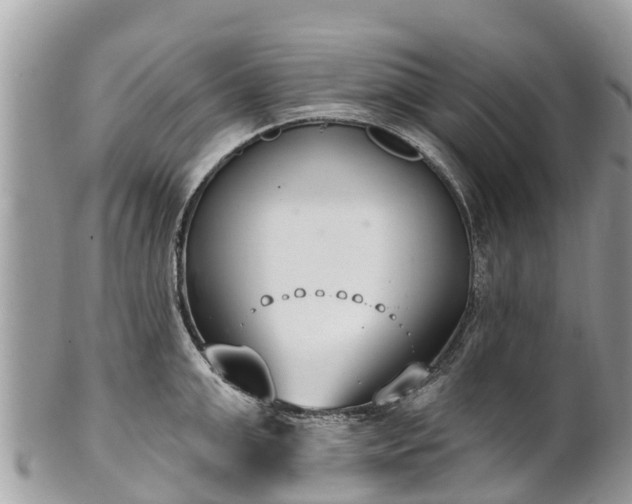 X0000101180999200807071241