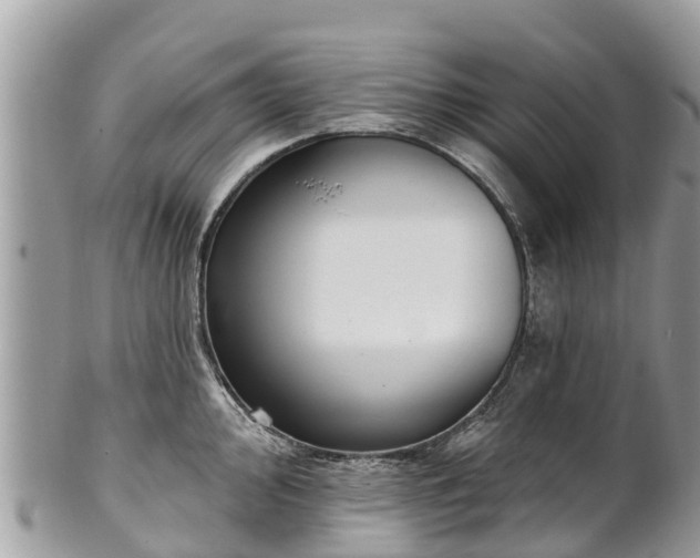 X0000101181000200807071241