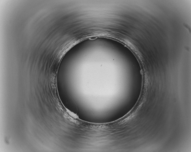 X0000101181001200807071241