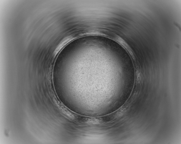 X0000101181002200807071241