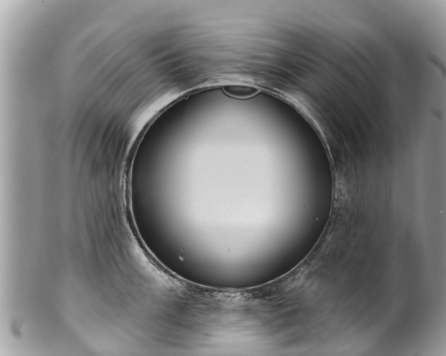 X0000101181003200807071240