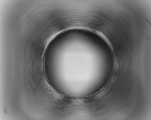 X0000101181004200807071240
