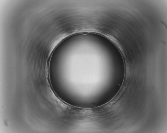 X0000101181006200807071240