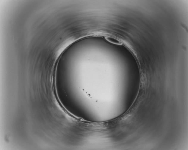 X0000101181007200807071240