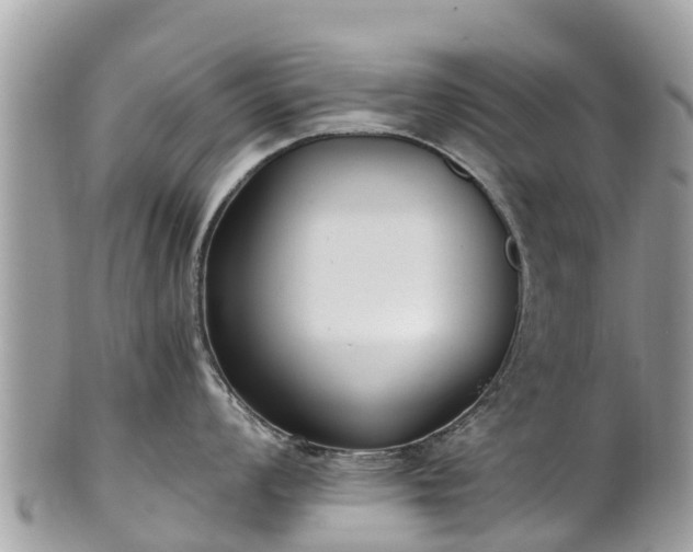 X0000101181008200807071240