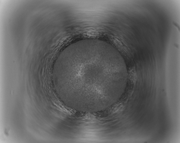 X0000101181009200807071240