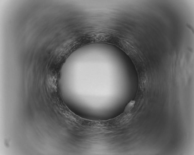 X0000101181010200807071240