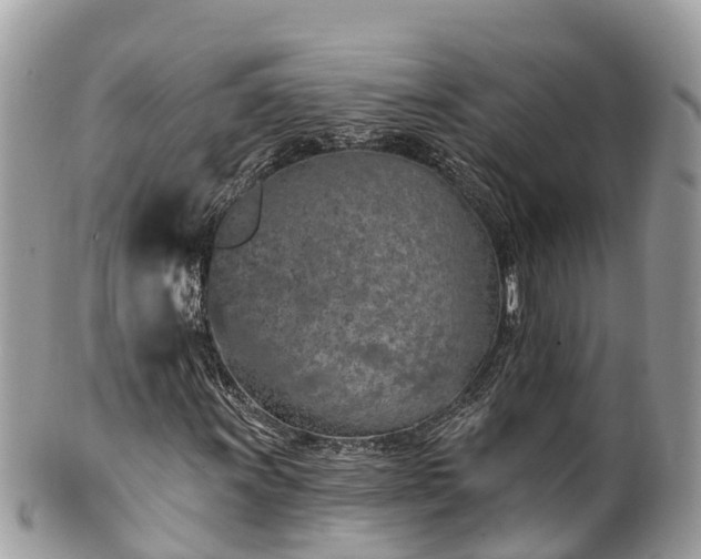 X0000101181011200807071240
