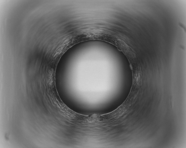 X0000101181012200807071240
