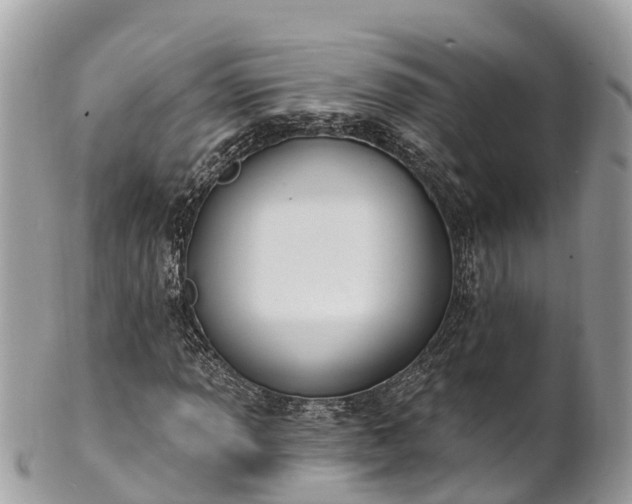 X0000101181013200807071240