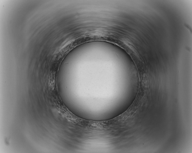 X0000101181015200807071240