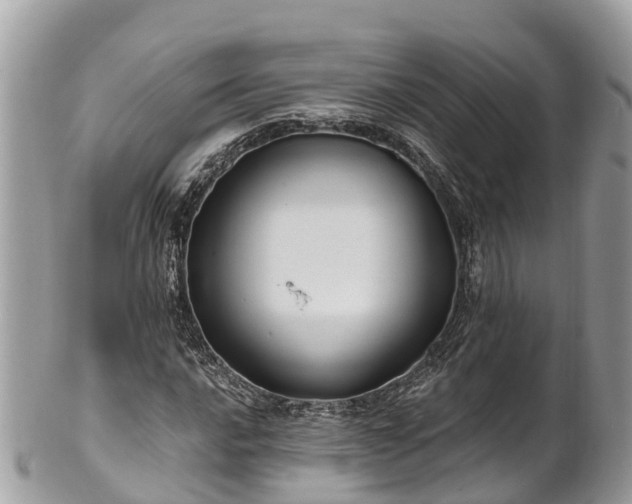 X0000101181016200807071240