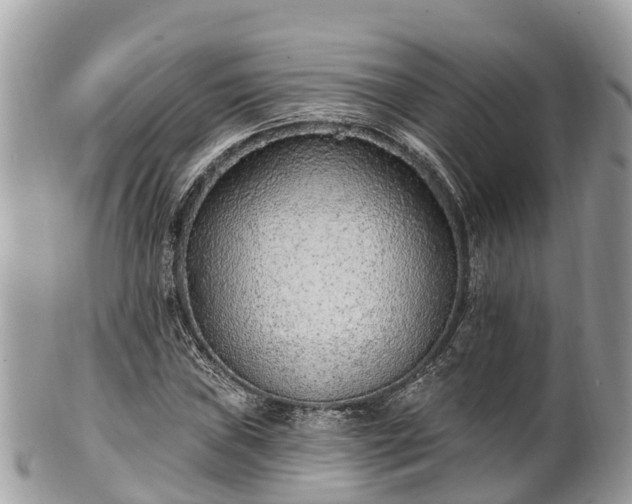 X0000101181019200807071240