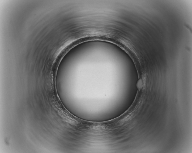 X0000101181021200807071240