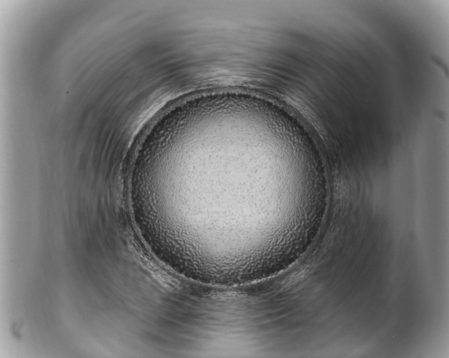 X0000101181023200807071240