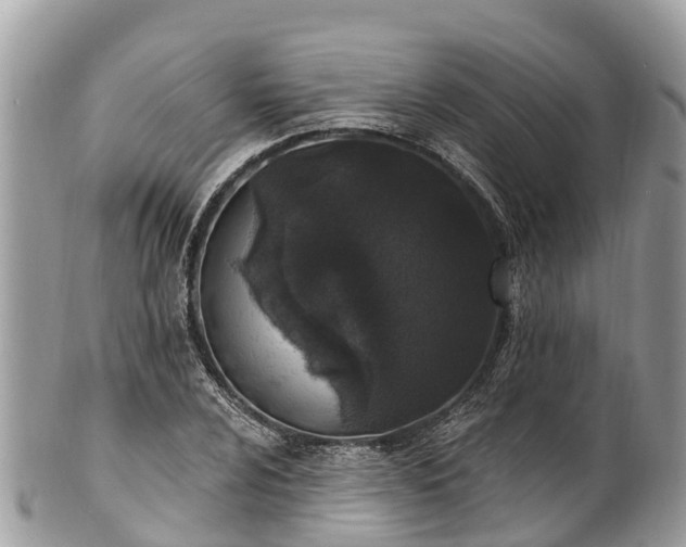 X0000101181024200807071240