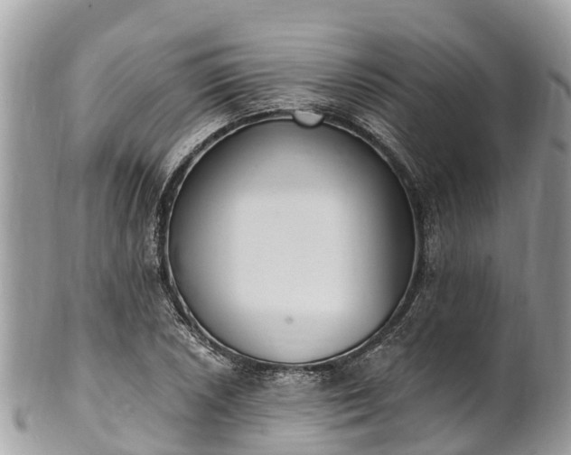 X0000101181026200807071240