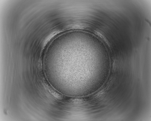 X0000101181027200807071240
