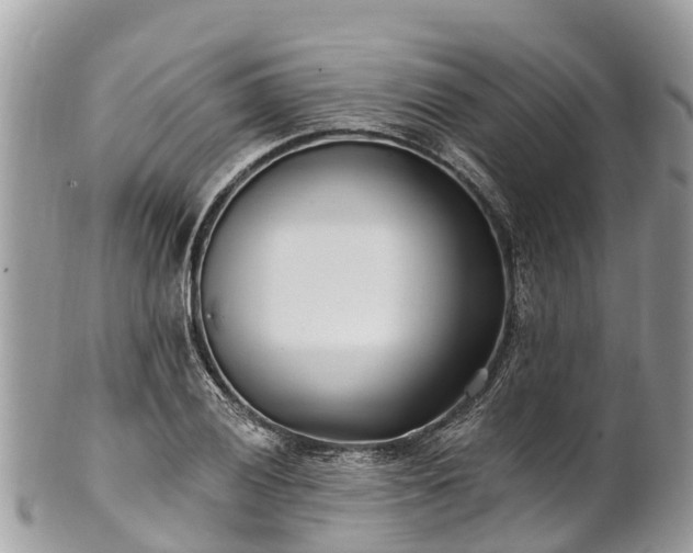 X0000101181028200807071240