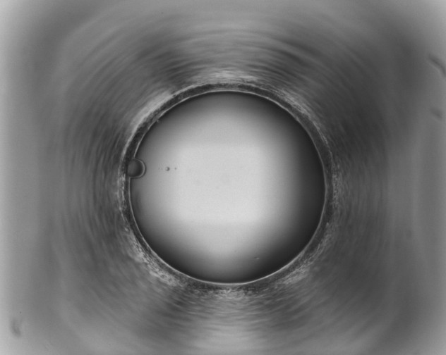 X0000101181029200807071240