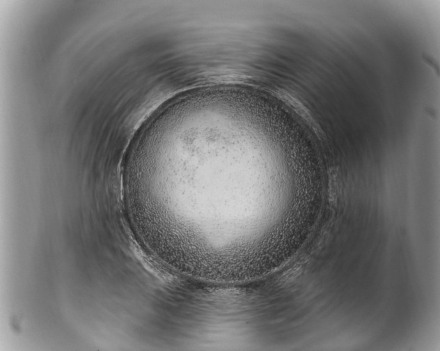 X0000101181031200807071240