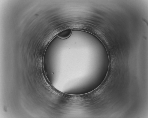 X0000101181033200807071240