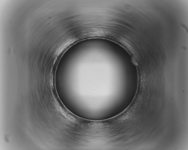 X0000101181034200807071240