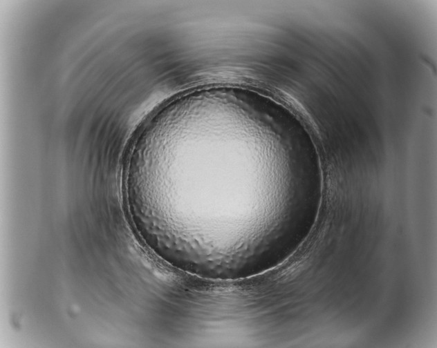 X0000101181035200807071240