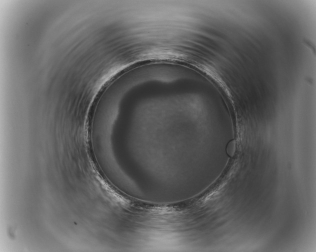 X0000101181037200807071240