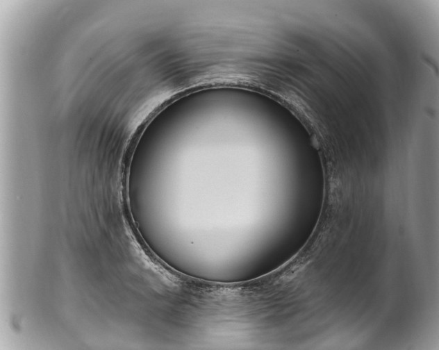 X0000101181038200807071240