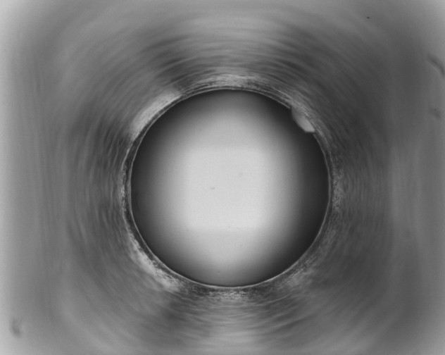 X0000101181042200807071240