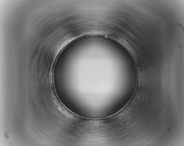 X0000101181044200807071240