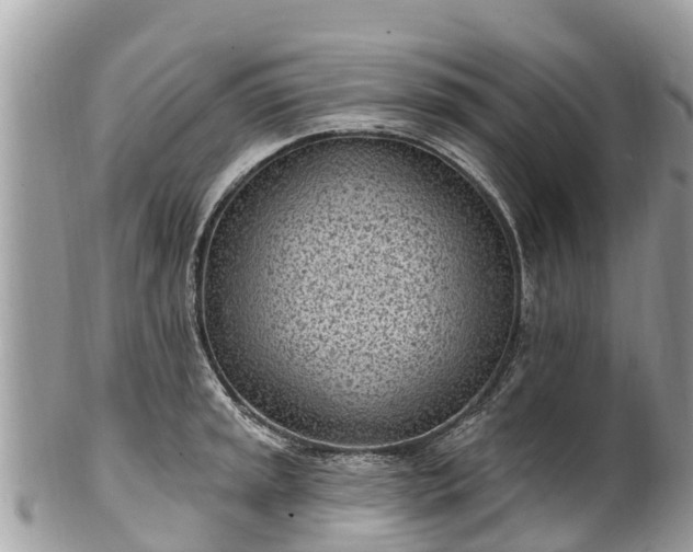 X0000101181045200807071240