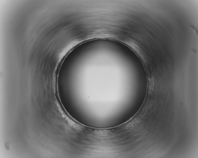 X0000101181046200807071240