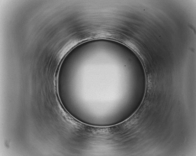 X0000101181047200807071240