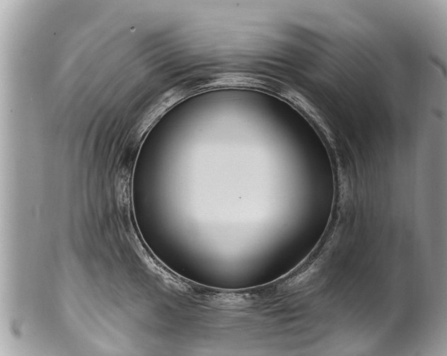 X0000101181049200807071240