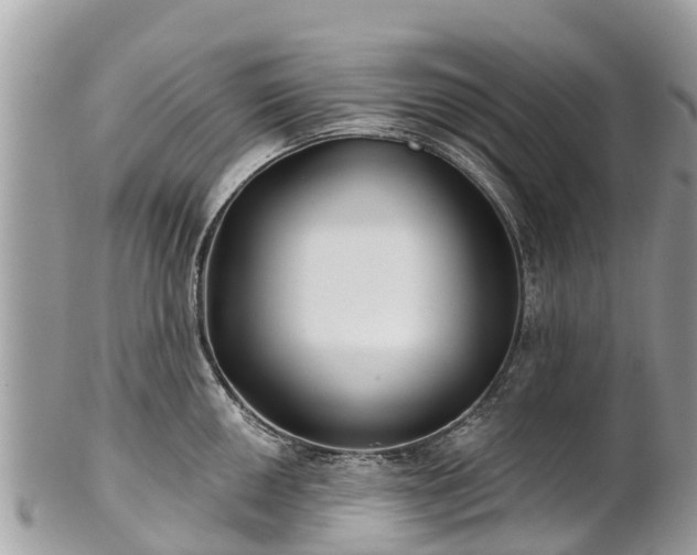 X0000101181050200807071240