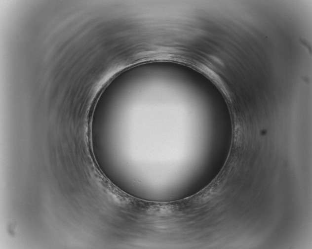 X0000101181051200807071240
