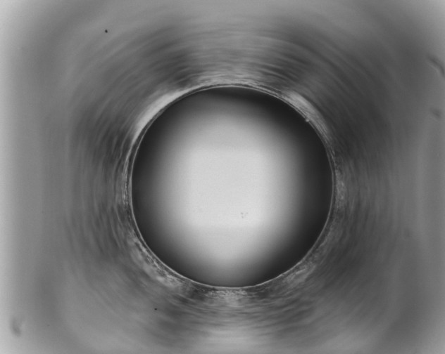 X0000101181052200807071240