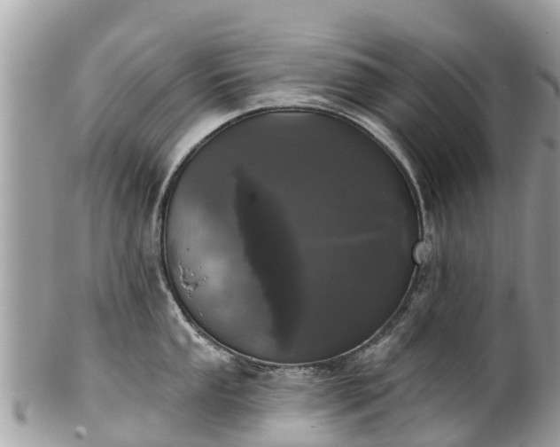 X0000101181053200807071240