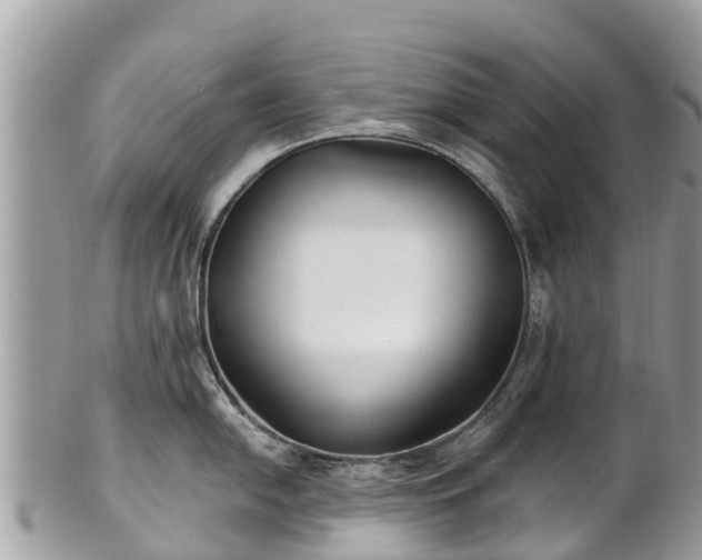 X0000101181054200807071240